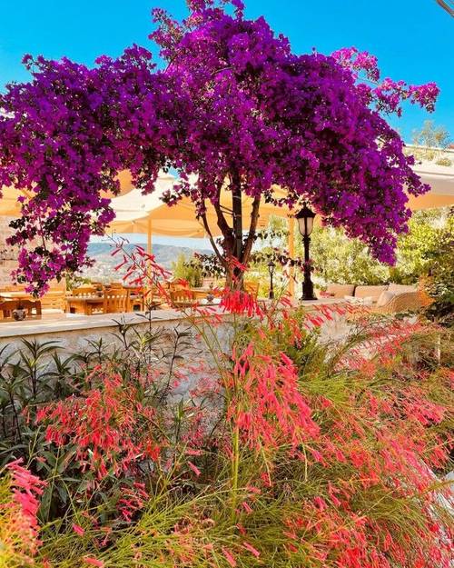 Taş Konak Eski Datça