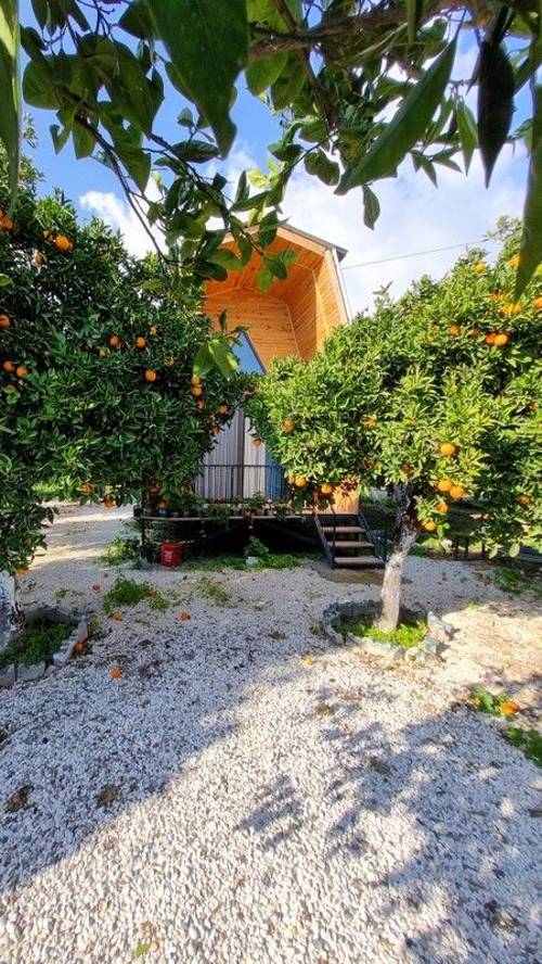 Orange Garden Bungalow