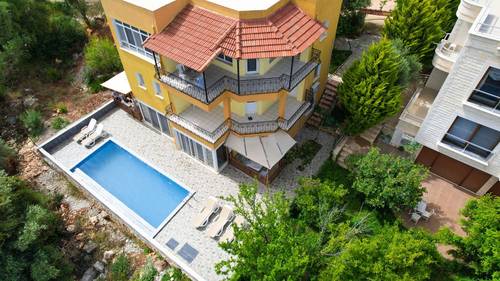 Yellow Butterfly Apart