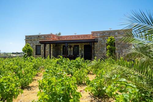 Korukçu Villaları Papazbahçe Karadut