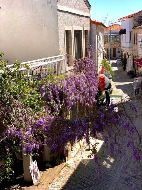 Windmill Alacati Koyici