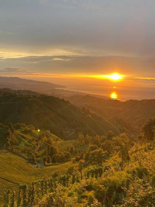 Kartal Yuvası Dağ Evi