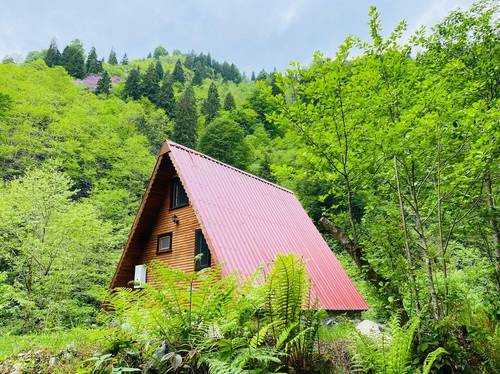 Senoz Dağ Evi & Bungalow