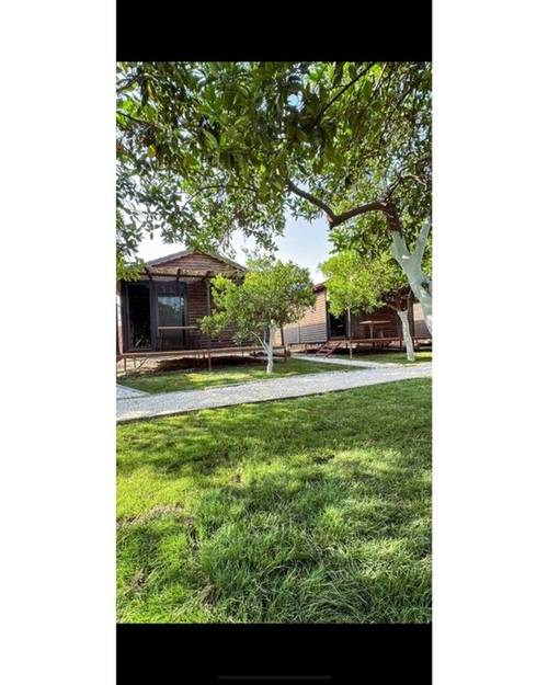 Orange Garden Tree Houses Hotel