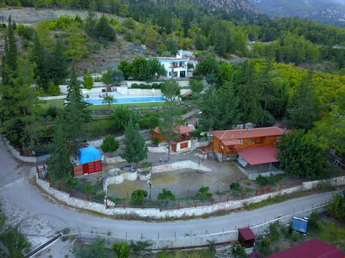 Trinitys Forest Bungalows