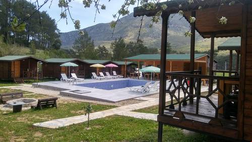 Anka Kuşu (Feniks) Ağaç Evleri