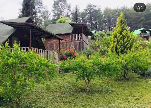 Olympos Otantik Pansiyon