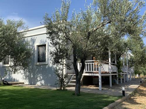 Zeytinli Bahçe Konuk Evi