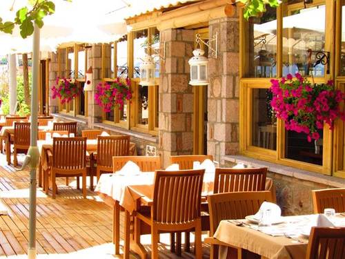 Assos Hunters Hotel Adult Only +7