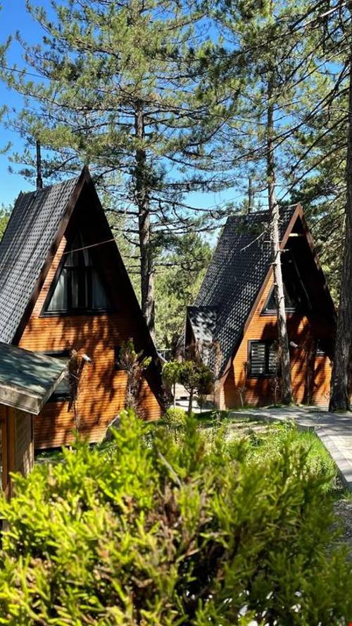 Bulbul Pinari Mesire Alani Bungalow