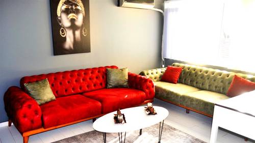 Concept Suit Premium