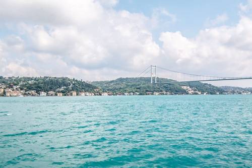 Shahmaran | Sarıyer