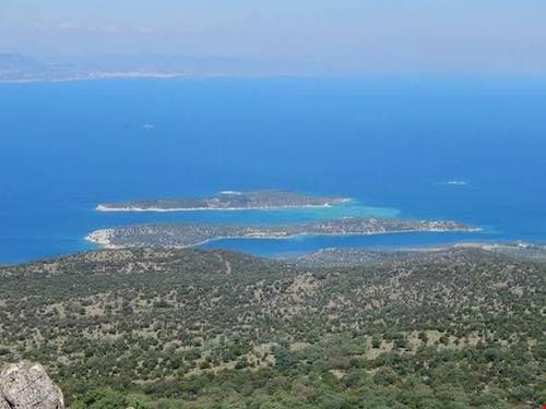 Dikili Papaya Evleri