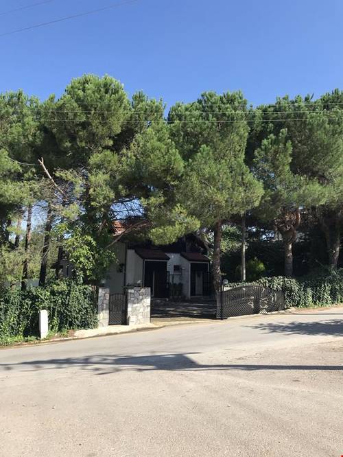 Villadağaltı Evleri