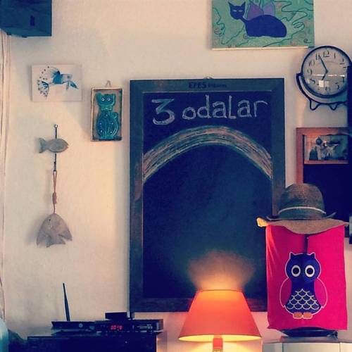 3 Odalar