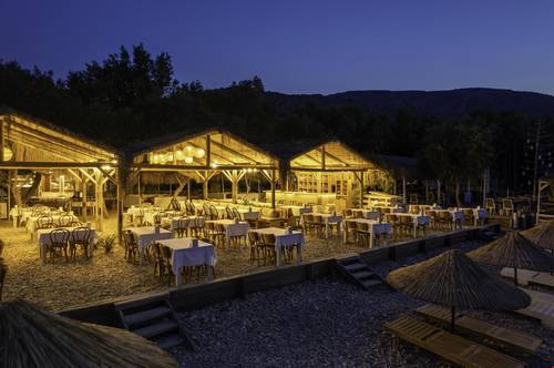 Aylin Ahsap Evler Palamutbuku