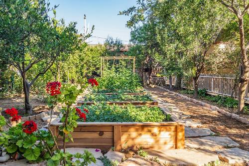 Liman Pansiyon & Guesthouse