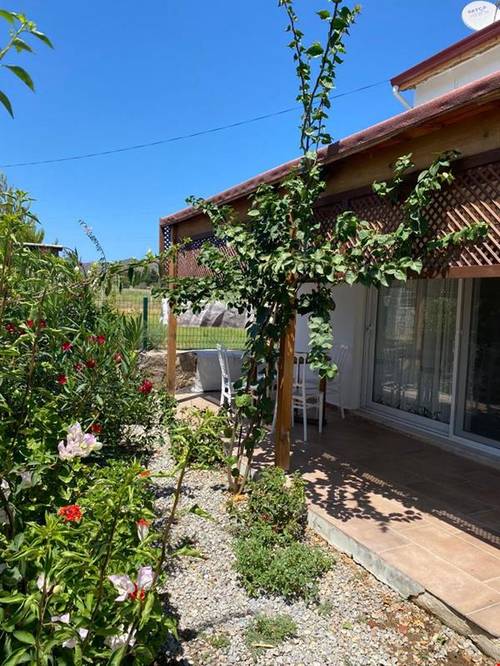 Zakkum Evleri Datça