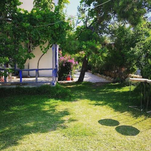 Zeytin Pansiyon ve Apart