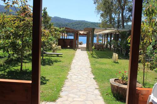 Sakin Vadi Winehouse