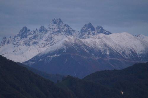 The Palazzo Premium House