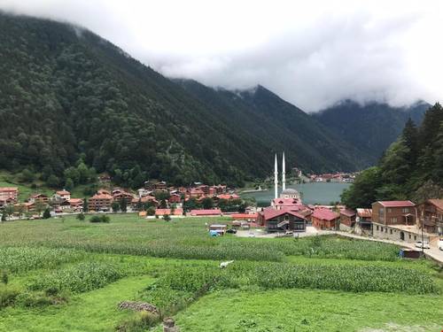 Tellioglu Ve Mericoglu Suite