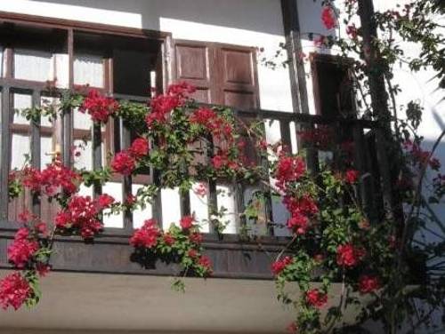 Türk Evi