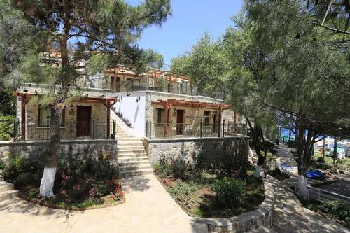 Beyaz Guvercin