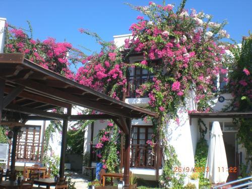 Orion Hotel