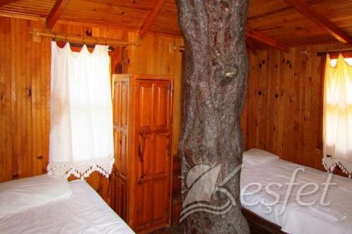 Jungle Bells Hostel