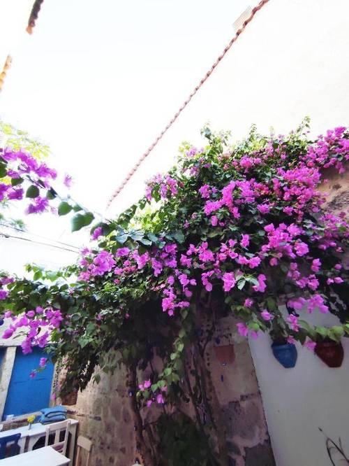 Alaçatı Bycarlos Butik Otel