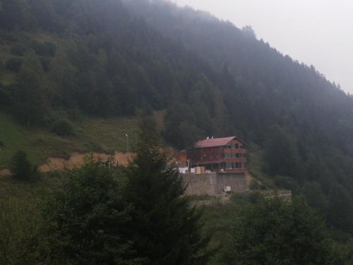 Sari Konak Apart Evleri