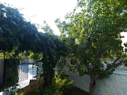 Mi Otel Alacati