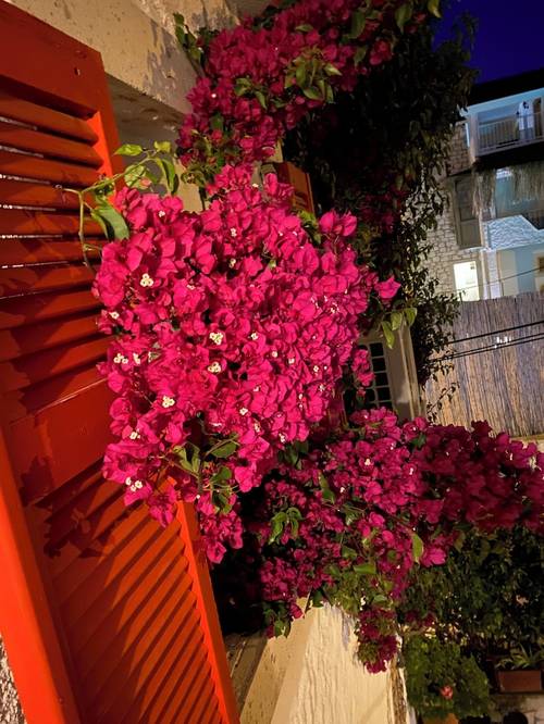 Bademici Otel