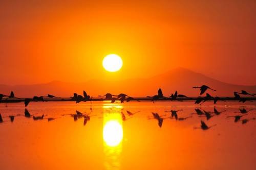 Sun Dalyan Hotel and Organic Farm