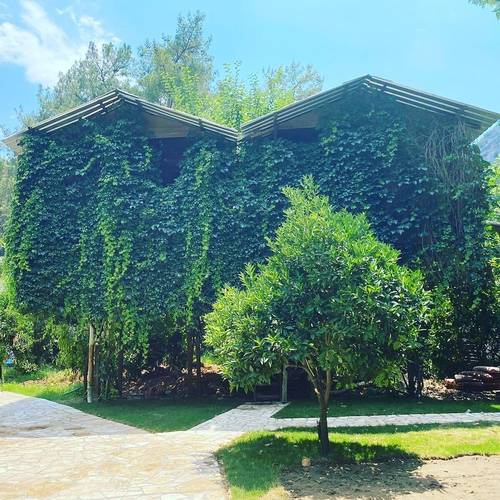 Olympos Çamlik Pansiyon