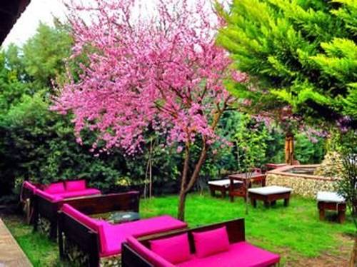 Faciba Butik Otel