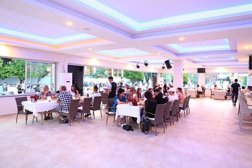 Hotel Catty Cats Garden