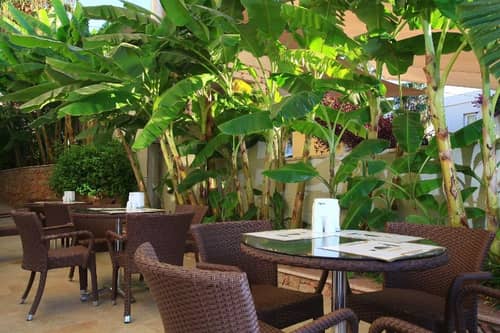 Mandarin Resort Bodrum