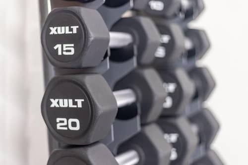 Holiday Inn Express & Suites Tampa-I-75