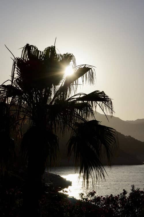 Tamara Prive Adult Only+12