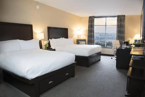 The Orlando
