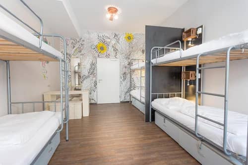Sunflower Hostel