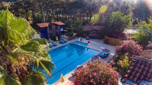 Olympos Forest House