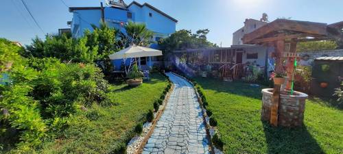 Geyikli Gelincik