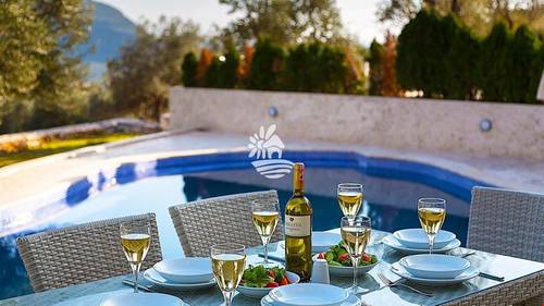 Villa Tzia