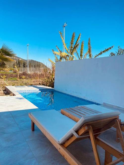 Agave Suites
