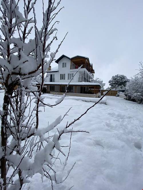 Hotgarden Villa