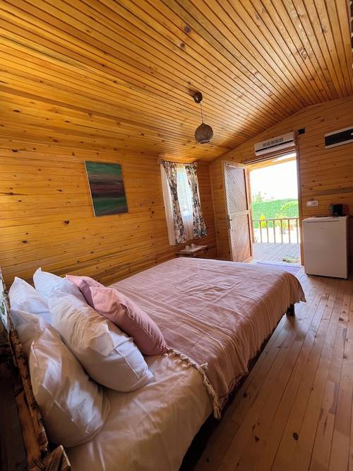 Afera Koy Evi