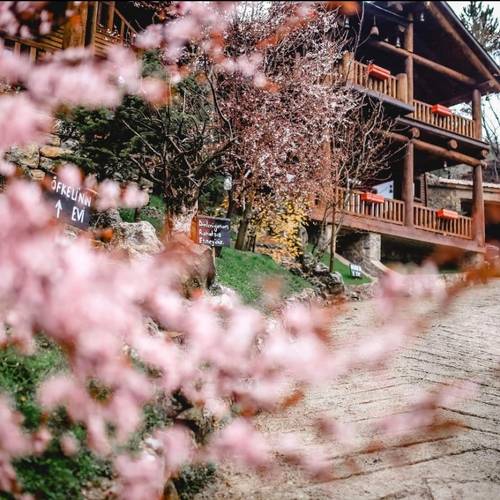 Abant Yesil Ev